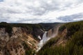 Waterfall and Trees in the American Landscape. Grand Canyon of The Yellowstone.