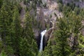 Waterfall and Trees in the American Landscape. Tower Fall in Yellowstone National Park