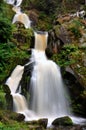 Waterfall Triberg Royalty Free Stock Photo