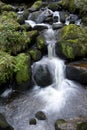 Waterfall, Triberg, Black Forest, Germany Royalty Free Stock Photo