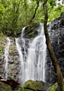 Waterfall in a tropcial forest in Tahiti