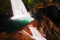 Waterfall in the tropic forest. La Paz Waterfall gardens, with green tropical forest, Central Valley, Costa Rica. Waterfall in the Royalty Free Stock Photo