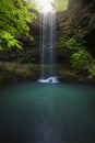 Waterfall in a tropical forest with magnolia trees