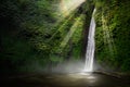 Waterfall in the tropical forest. Munduk, Bali Royalty Free Stock Photo