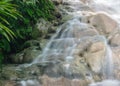 The waterfall in the tropical forest