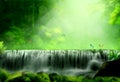 A waterfall in a tropical forest with sunlight shining