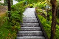Waterfall in tropical garden in Madeira Royalty Free Stock Photo