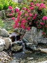 Waterfall and tropical garden in patio spa Royalty Free Stock Photo