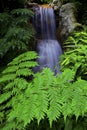 Waterfall in tropical garden Royalty Free Stock Photo