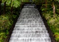 Waterfall in tropical gardens on Madeira Royalty Free Stock Photo