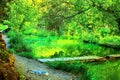 Waterfall in tropical green tree forest. Waterfall is flowing in jungle Royalty Free Stock Photo