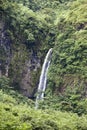 Waterfall in tropical nature. Polynesia. Tahiti.