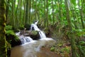 Waterfall in Tropical Palm Forest Royalty Free Stock Photo
