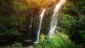 Waterfall in Tropical Paradise (HD Loop)