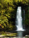 Rainforest Waterfall