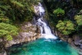 Waterfall in tropical rainforest, New Zealand Royalty Free Stock Photo