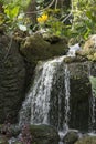 Waterfall in the Tropics with Yellow Orchids and Mossy Rocks Royalty Free Stock Photo