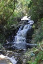 Waterfall, Tsitsikamma National Park, Garden Route, nr Knysna, South Africa Royalty Free Stock Photo