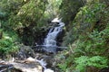 Waterfall, Tsitsikamma National Park, Garden Route, nr Knysna, South Africa Royalty Free Stock Photo