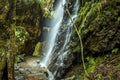 A waterfall beside the Twin Falls path in Springbrook National Park, Queensland, Australia Royalty Free Stock Photo