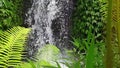 Waterfall in Ubud, Bali