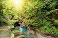 Waterfall in Ubud monkey forest