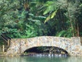 Waterfall under Bridge