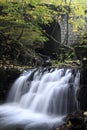 Waterfall under Stone Bridge on the Satina River Royalty Free Stock Photo
