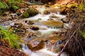 Flowing Creek in Uvas County Park Royalty Free Stock Photo