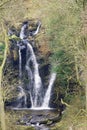 The waterfall, in the Valley of Desolation, Wharfedale, North Yorkshire. Royalty Free Stock Photo