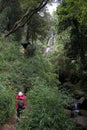 Waterfall at the Vicente Perez Rosales National Park, Chile