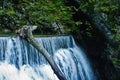 Waterfall at Vintgar canyon in slovenian Alps