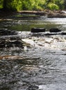 Waterfall water canal natural stone canal Royalty Free Stock Photo