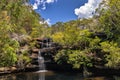 Waterfall and Water Gums Royalty Free Stock Photo