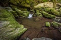 Waterfall water stream in black forest Royalty Free Stock Photo