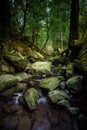 Waterfall water stream in black forest Royalty Free Stock Photo