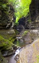 Waterfall Watkins Glen State Park