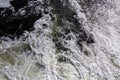 Water boiling in the river and foam due to a waterfall Royalty Free Stock Photo