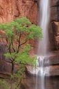 Waterfall at Weeping Rock Royalty Free Stock Photo