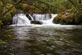 Waterfall in Whatcom Falls Park