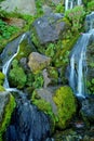 Waterfall and Wild Flowers Royalty Free Stock Photo