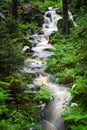 Waterfall, wild river Doubrava in Czech Republic. Valley Doubrava near Chotebor