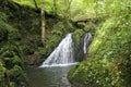 Waterfall the wild swoosh in wild Endertal valley in eifel region (Germany)