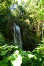 Waterfall in the wild tropical forest. El Nicho Waterfalls, Cienfuegos, Cuba Royalty Free Stock Photo