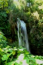 Waterfall in the wild tropical forest. El Nicho Waterfalls, Cienfuegos, Cuba Royalty Free Stock Photo