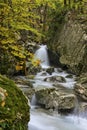 Waterfall in the woods in Autumn with foliage colors, Monte Cucco NP, Appennines, Umbria, Italy Royalty Free Stock Photo