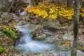 Waterfall in the woods in Autumn with foliage colors, Monte Cucco NP, Appennines, Umbria, Italy Royalty Free Stock Photo