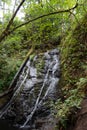 Waterfall in the Forest Royalty Free Stock Photo