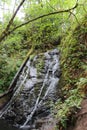 Waterfall in the Forest