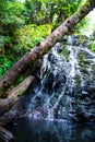 Waterfall in the Forest Royalty Free Stock Photo